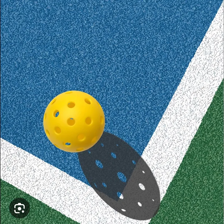 Pickleball Plus