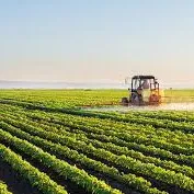 Agriculture