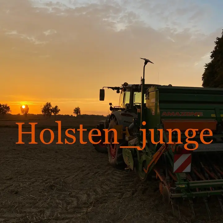 Holsten_junge