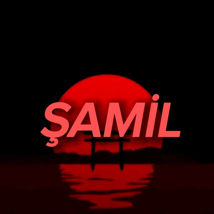 şamil.gaming