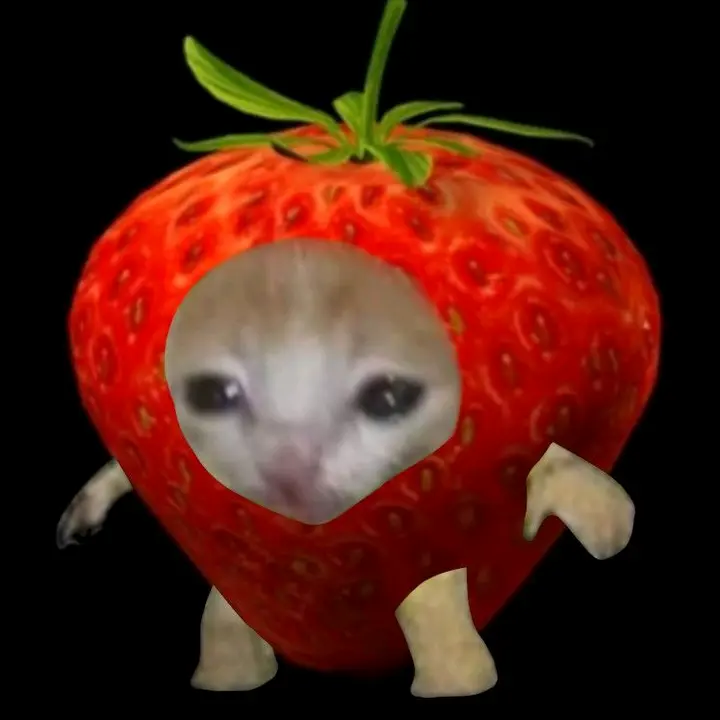 memes rancios porq si