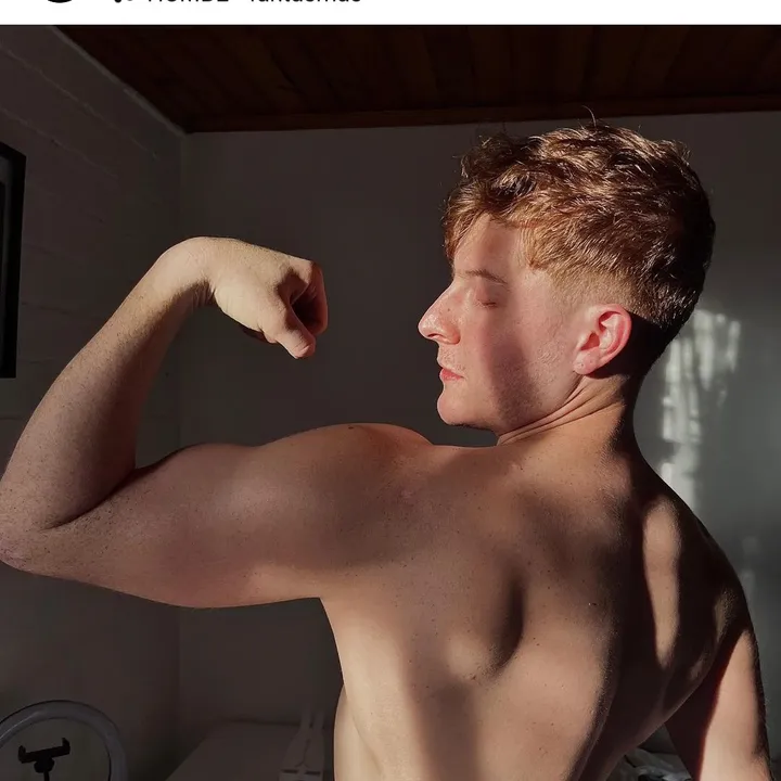 SoyFox