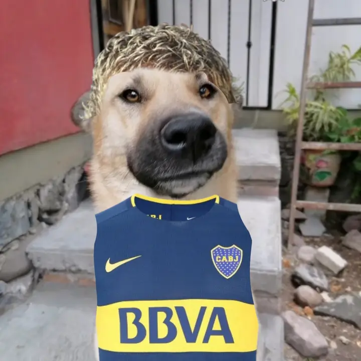 Martin Palermo