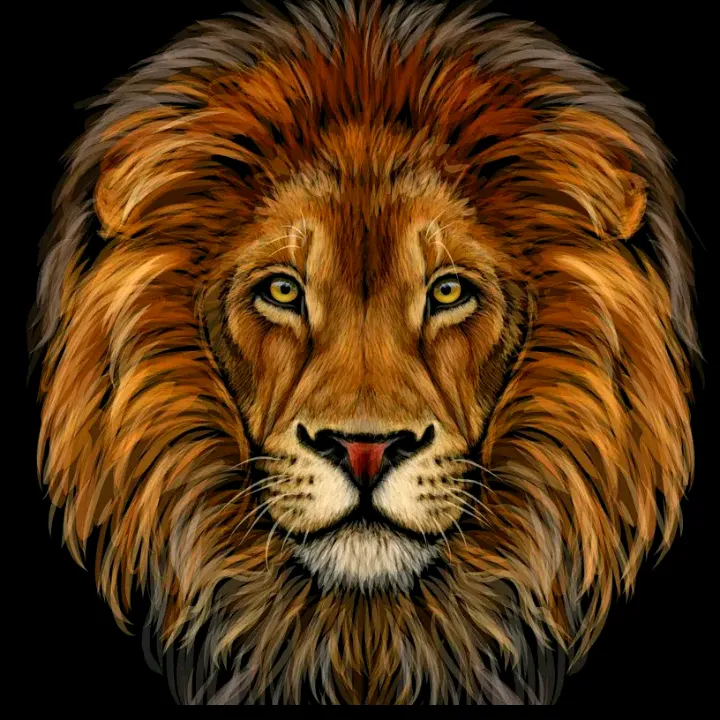 Ex kale🖤🕊️❤️🕊️💚🕊️🇰🇪