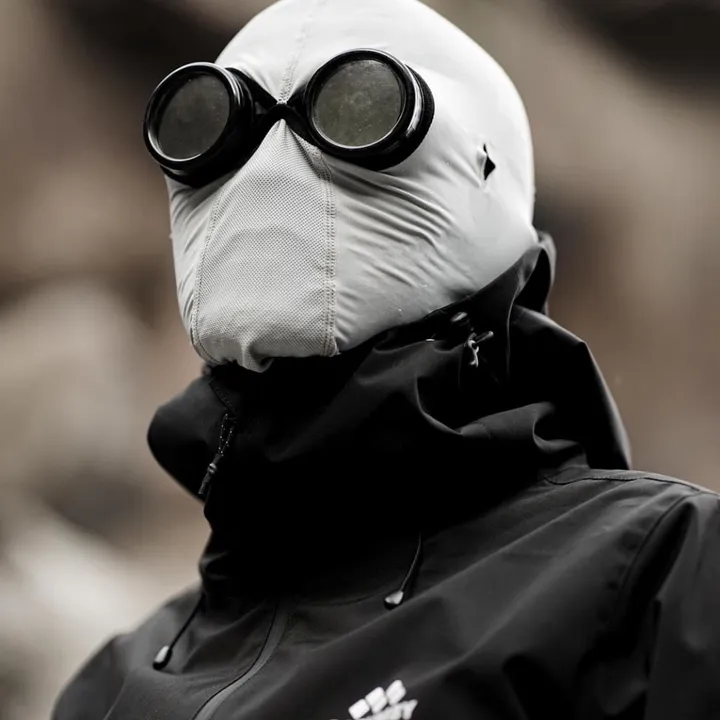 french_ultras