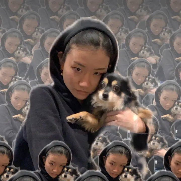 flexanie