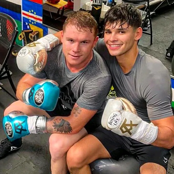 🇦🇺Boxer Boxer🇺🇲