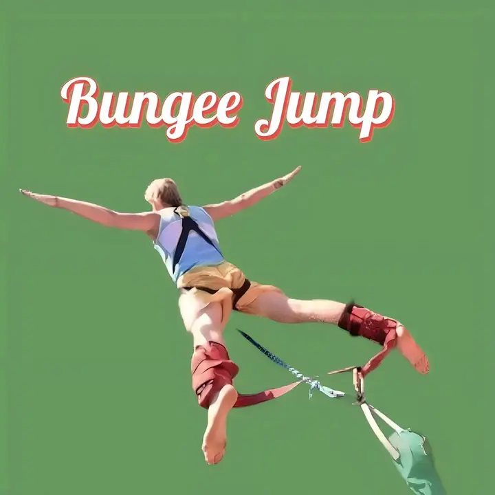 bungeejumppro