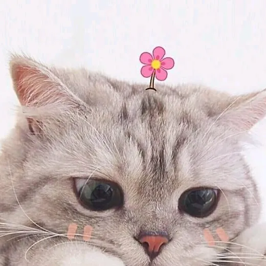 Winnie