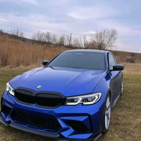 king_RGL01