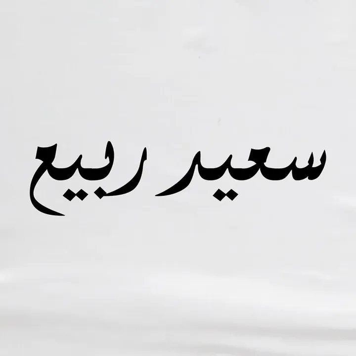 saeid rabie