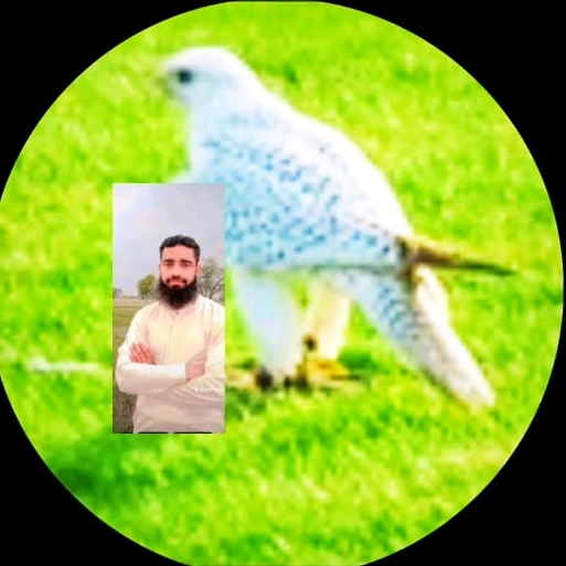 Shafiq Rehaman