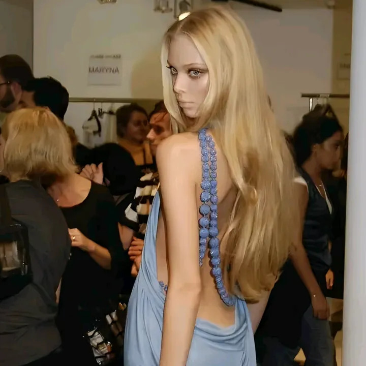 ≽^• ˕ • ྀི≼