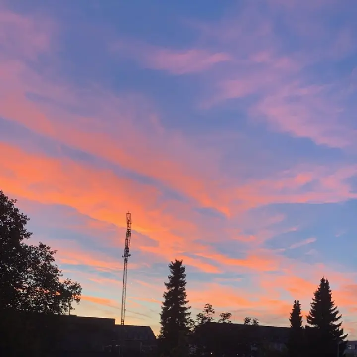 𝑴𝒆𝒍 🎀