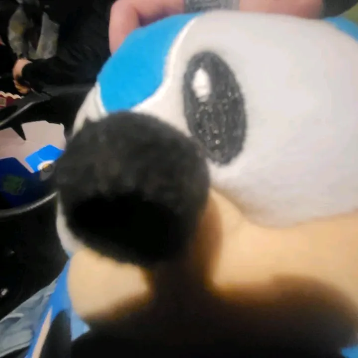 ♤♡◇♧