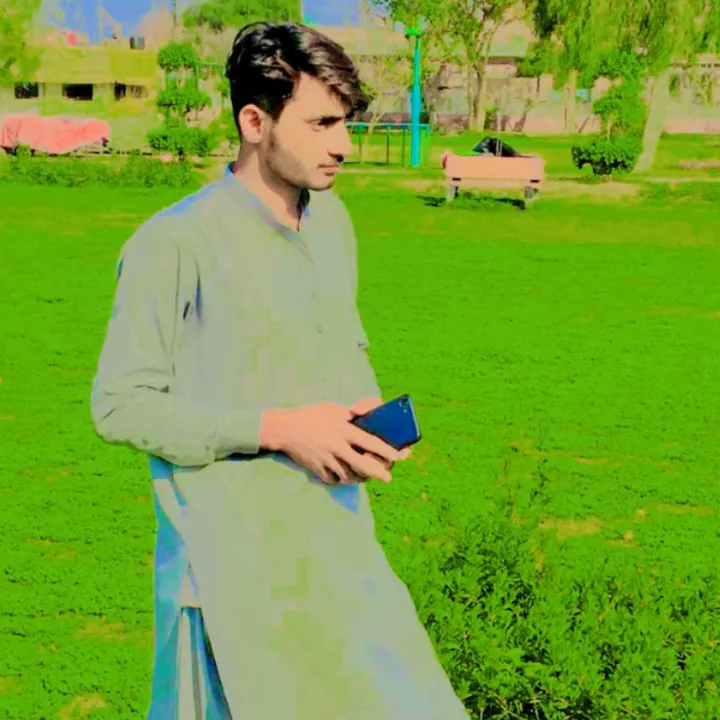 Malik ansir