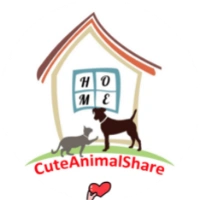 cuteanimalshare