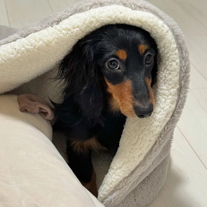 まるこげは1人暮らし