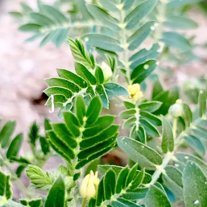Abi.✌️Sajan🇵🇰