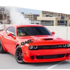 Pantera