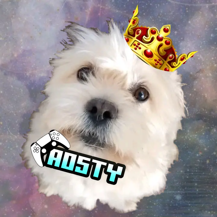 Aosty
