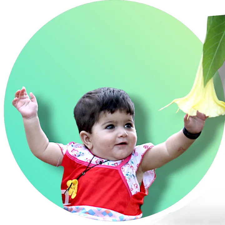 Najeeb Ullah