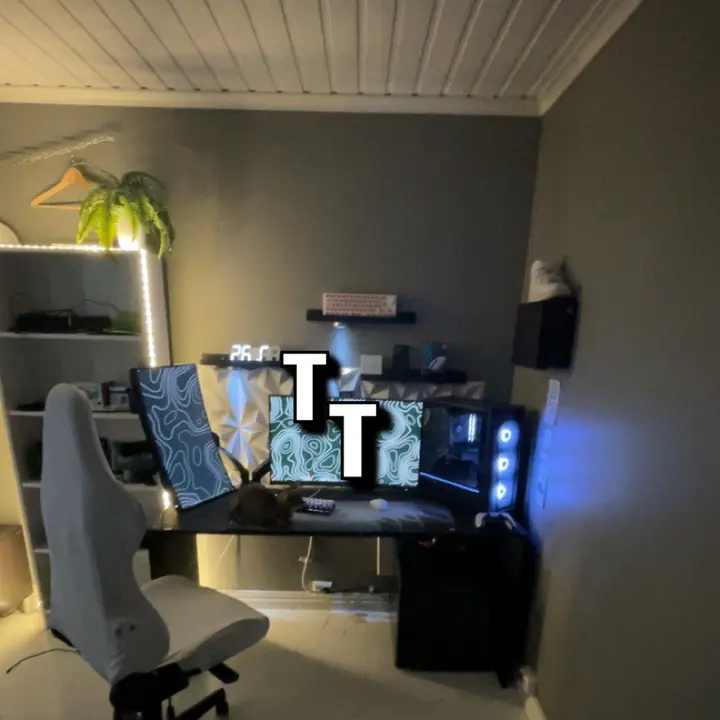 Tanooki tech