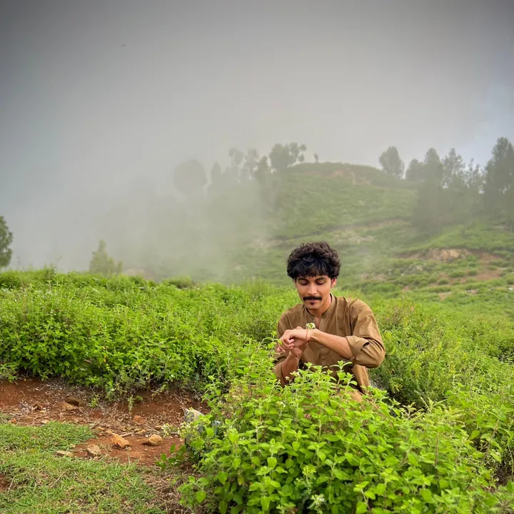 fAhAD🌿