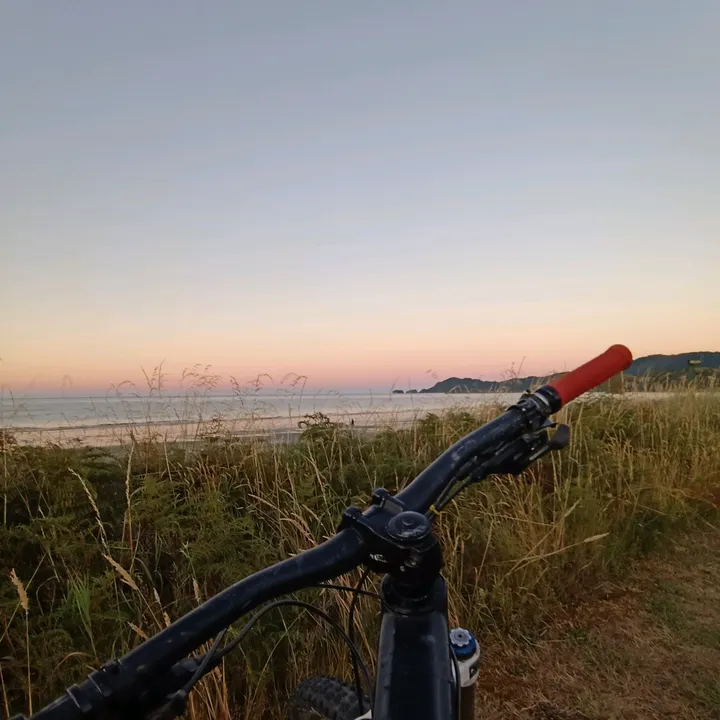 Willsss_mtb🐢🤙