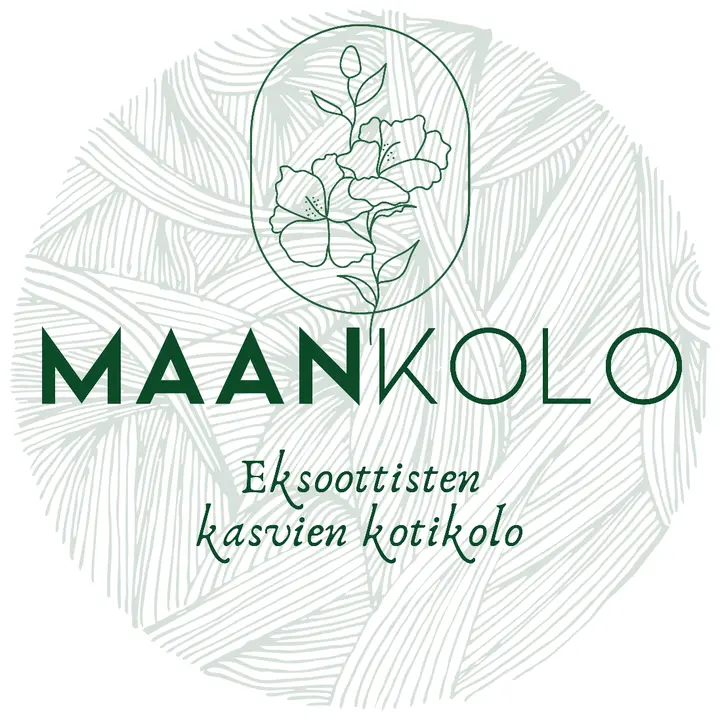 Maankolo