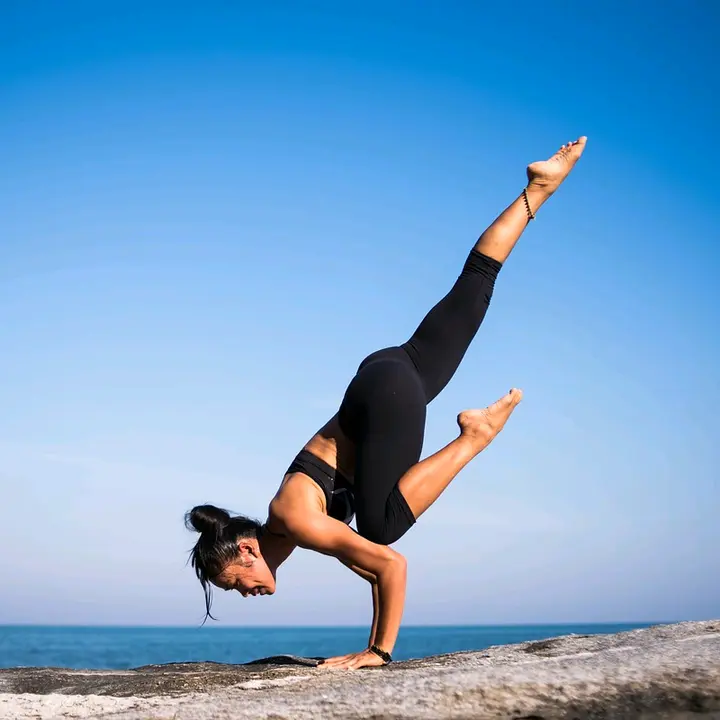 Conocimiento.Fit