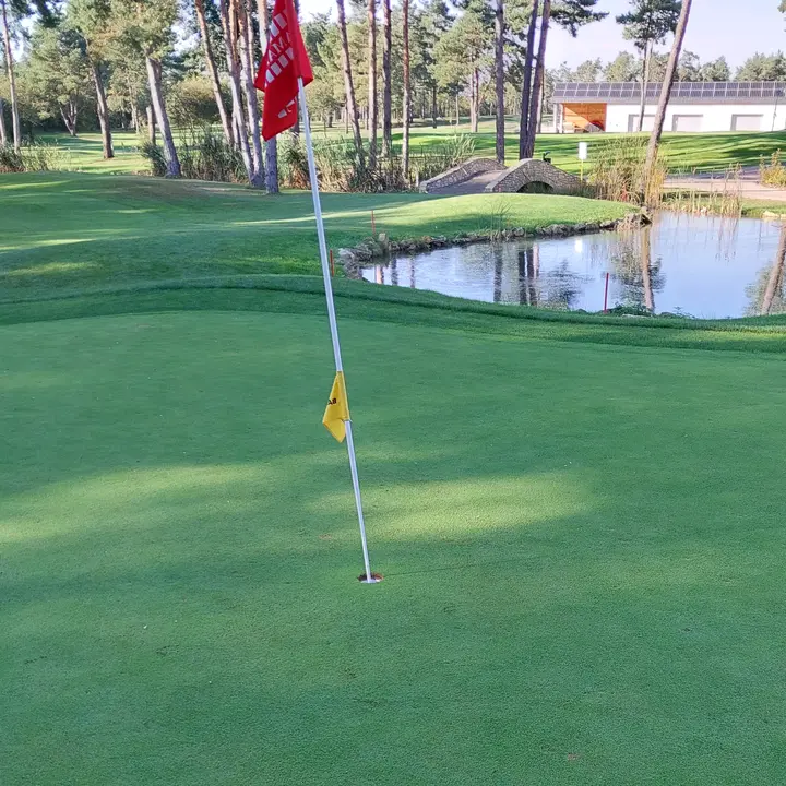 🐜⛳️⛳️MRÓWA ⛳️⛳️🐜