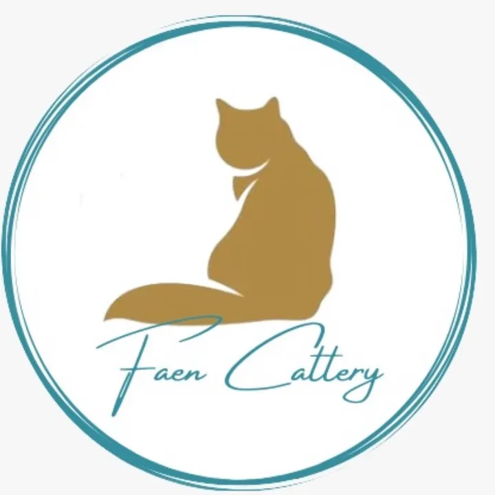 Faen cattery and cat service