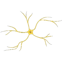 𝐄𝐟𝐞𝐜𝐭𝐨𝐎𝐱𝐢𝐭𝐨𝐜𝐢𝐧𝐚