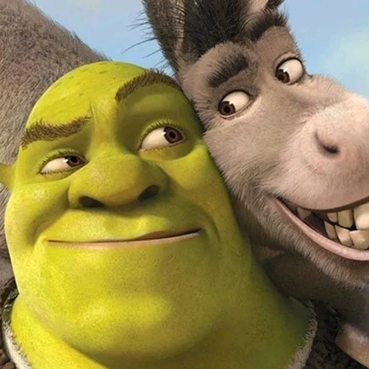 burro y shrek