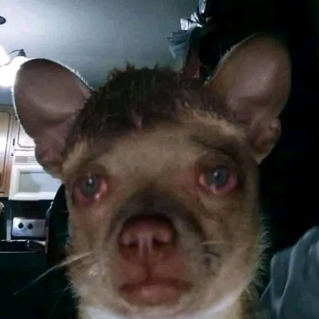 I am sad