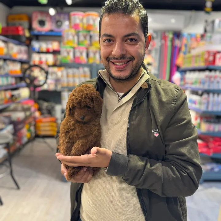 123 Pets with Ramy saber
