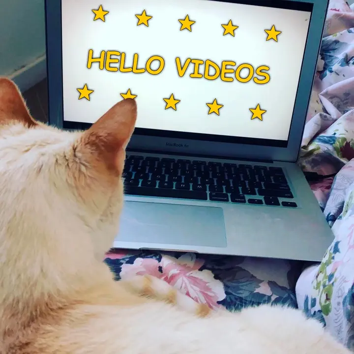 Hello Videos