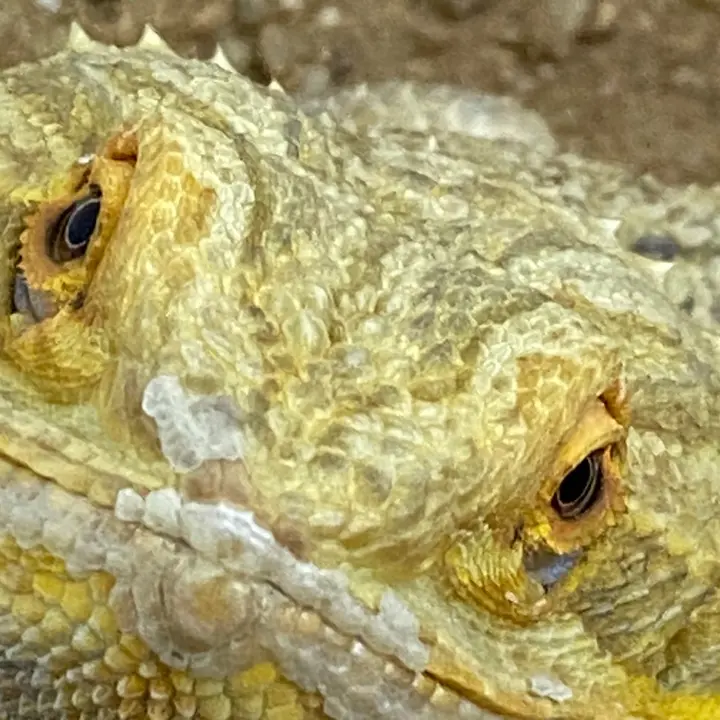 Porieysiegeushehrhtbtjthdjdhd