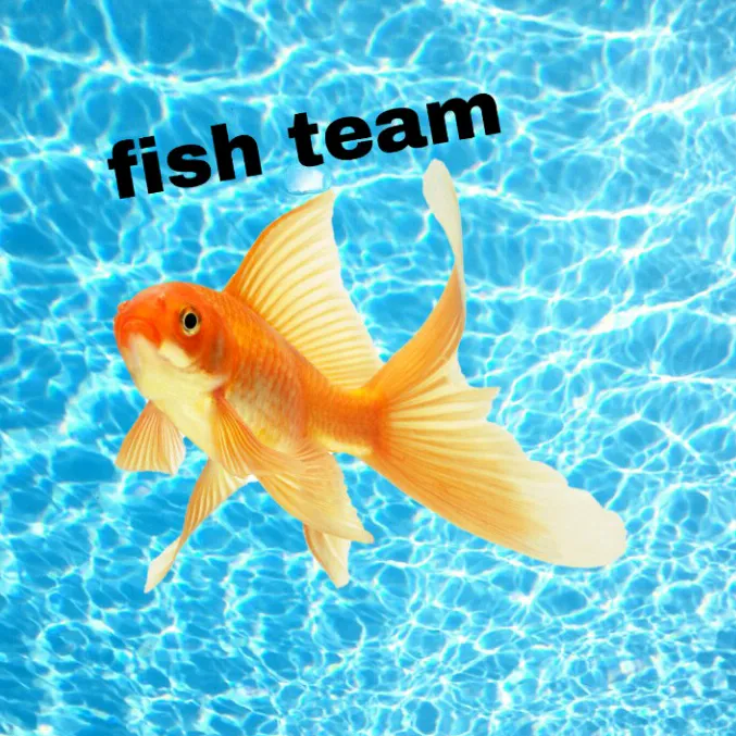 fishgamer official