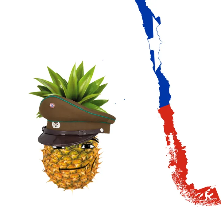 🤑 omega piña 🍍