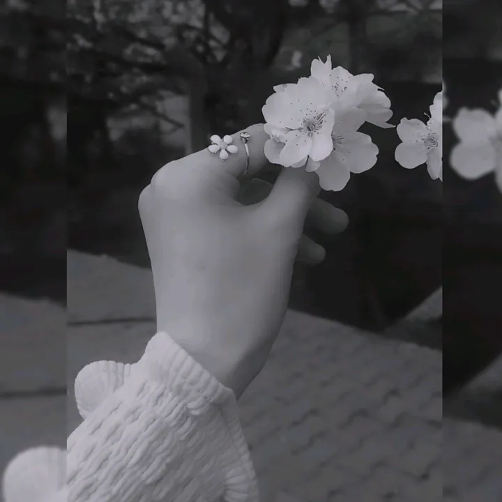 1siyahsokak🌼