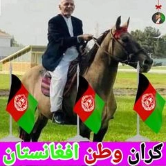 محبت نیازی