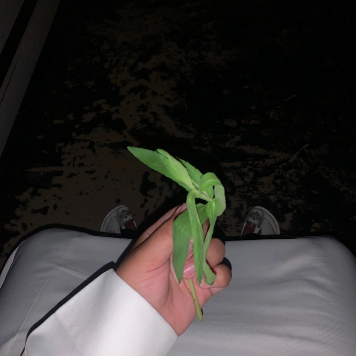 عـبدالله🤍.