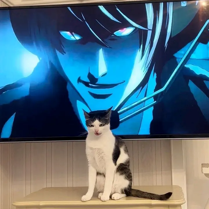 𝙛 𝙖 𝙗 𝙧 𝙞