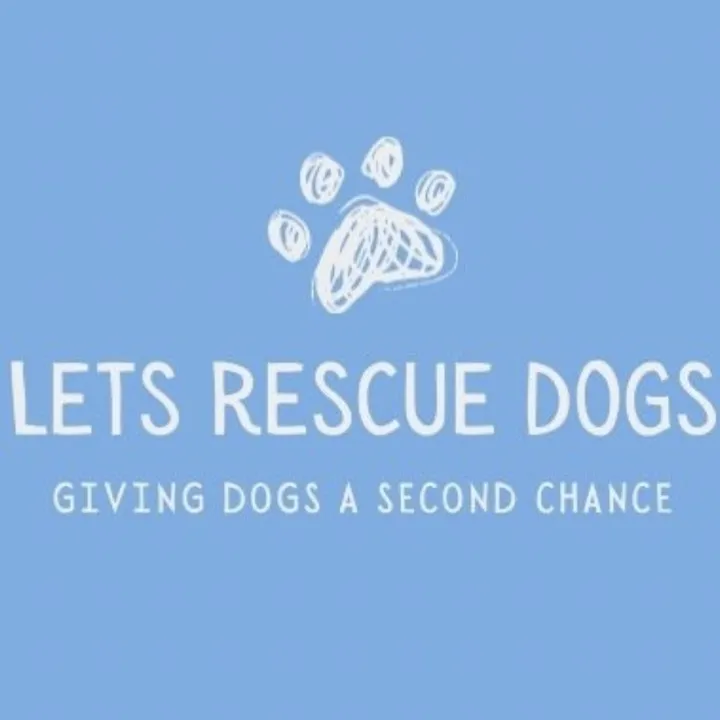 lets rescue dogs