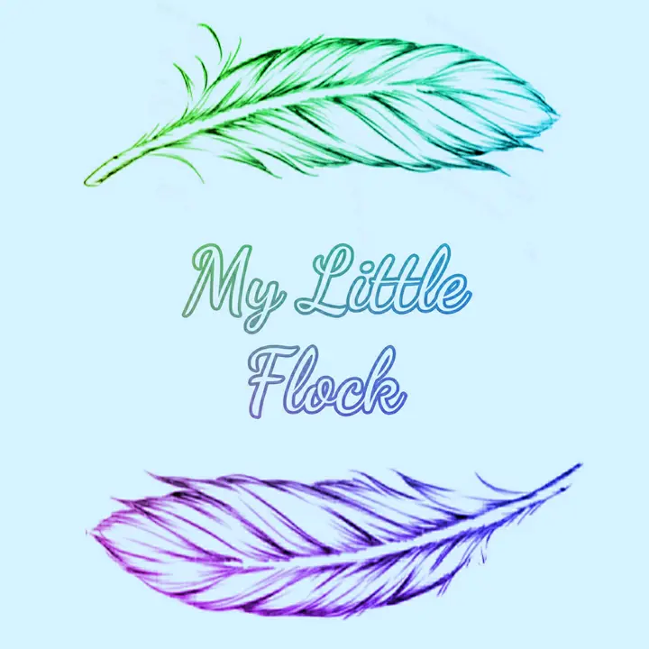 My Little Flock
