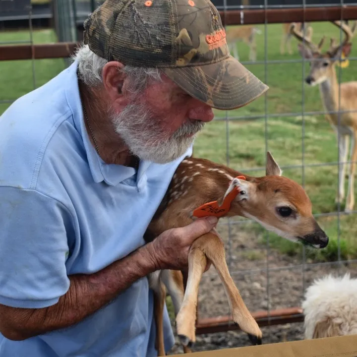 Southern Whitetails