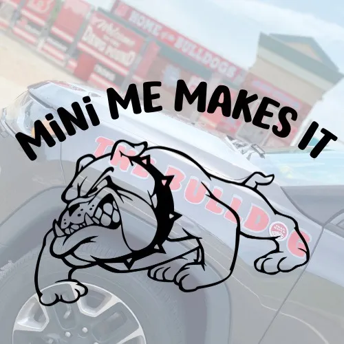 Minimemakesit