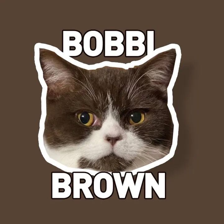 bobbithebrowncat